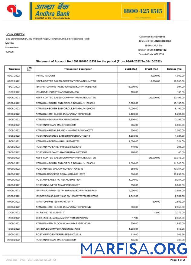 Printable India Andhra bank statement word 2 pages page 1 example